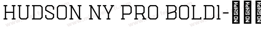Hudson NY Pro Bold1字体转换